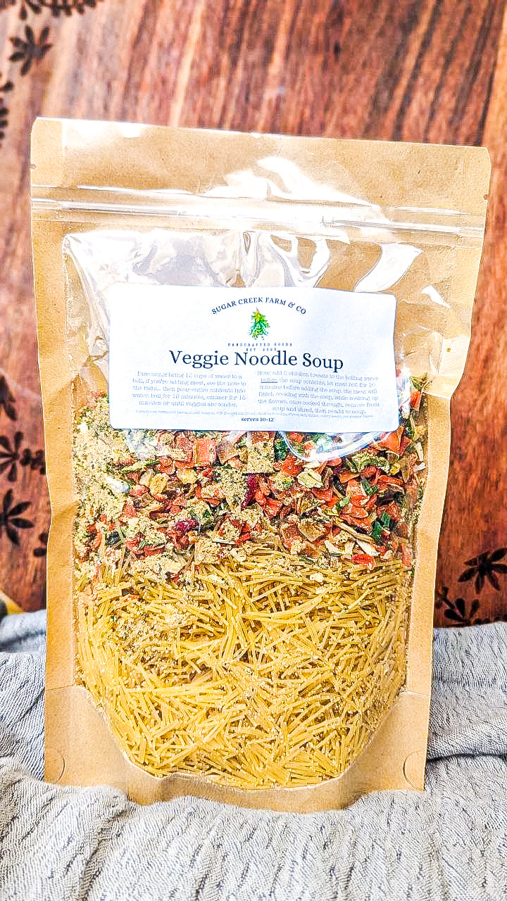 Veggie Noodle Soup